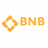 BNB Bricks