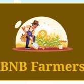 Bnb Farming