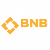 BNB Waves