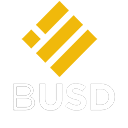 BUSDMiner