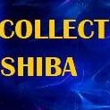 Collect Shiba