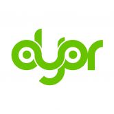 DYOR Audit logo