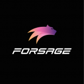 Forsage BUSD logo