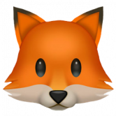 Fox Finance