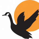 Goose Token