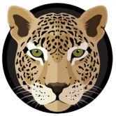 LeopardSwap (BSC)