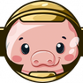 PIG Finance logo