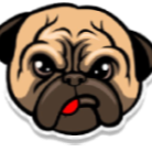 Puginu pug