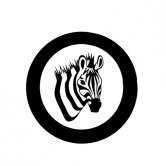 ZEBRA FINANCE