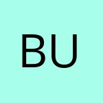 Burstbet logo