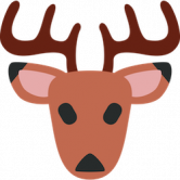 Deerfi