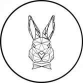 PolyRabbit