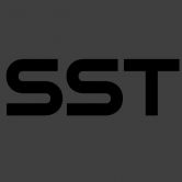 SmartStake Token logo