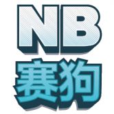 NB Race logo