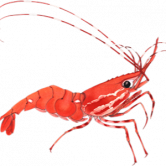 ShrimpFarm