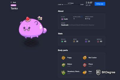 Axie Infinity MarketPlace