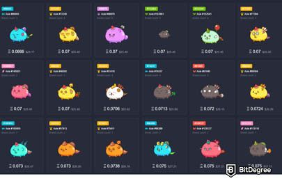 Axie Infinity MarketPlace