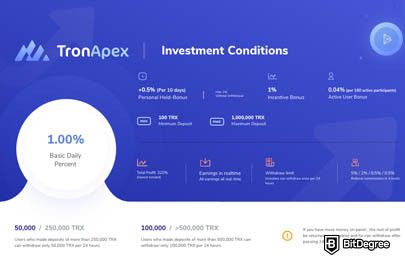 BetGO dApp: Expert Insights & Technical Analysis