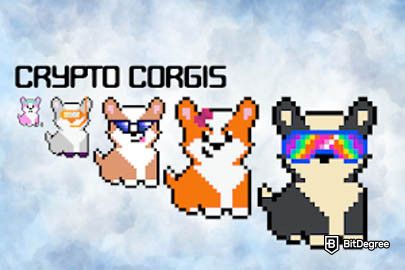 https://assets.bitdegree.org/crypto-tracker/nft-collections/small/ethereum/crypto-corgis.jpg