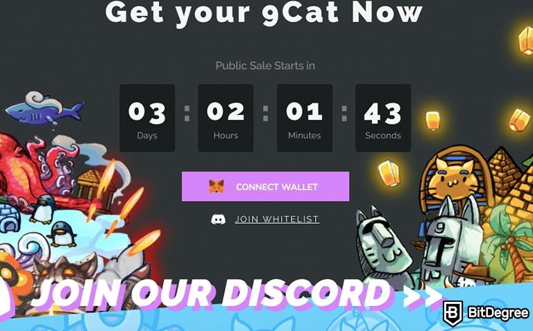9Cat - A New Name in the NFT Gaming Play-to-Earn Ecosystem