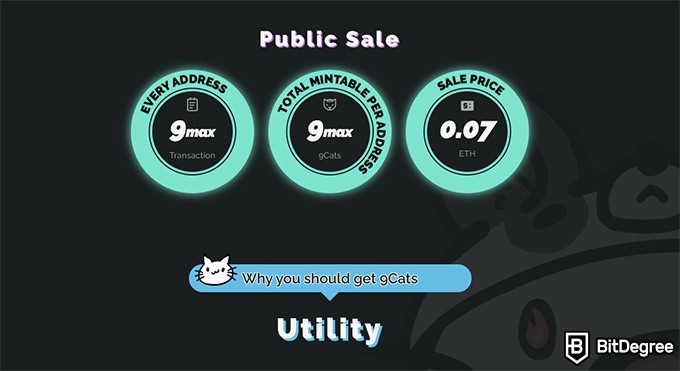 9Cat NFT game: public sale.