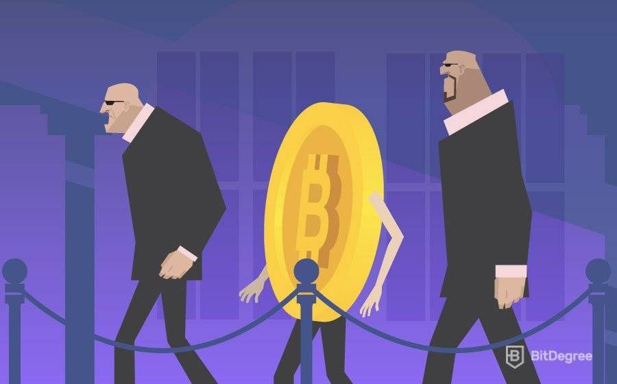 El mejor monedero Bitcoin: ¿Cuál es el Bitcoin Wallet más seguro?