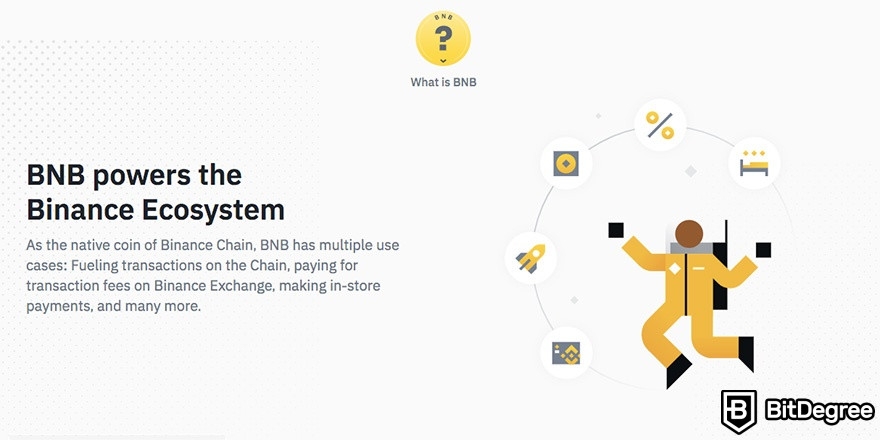 Staking en Binance: Ecosistema BNB.