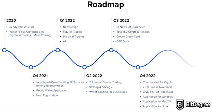 Binaryx review: company roadmap.