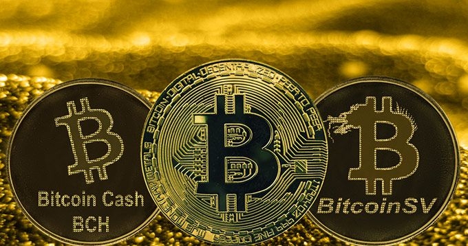 Bitcoin o Bitcoin Cash: Monedas de oro Bitcoin Cash.