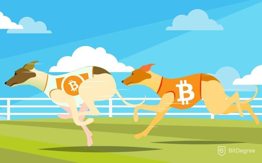 Bitcoin và Bitcoin Cash: Bạn nên chọn đồng tiền nào