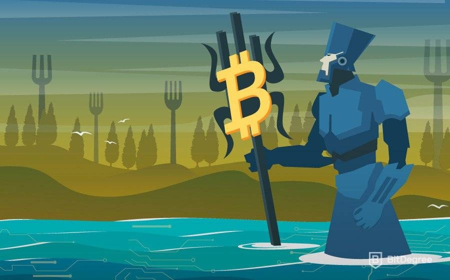 Bitcoin Fork Nedir? Bitcoin Fork Tarihi ve Örnekleri