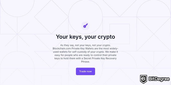 Resenha do Blockchain.com: your keys, your crypto.