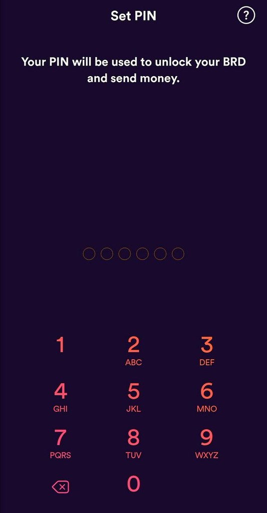 Đánh giá BRD Wallet: mã PIN tùy chỉnh.