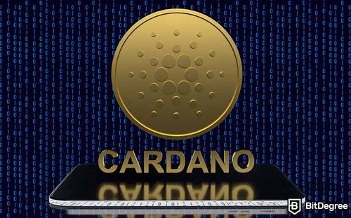 Cardano Has Launched Its Vasil Hard Fork Upgrade