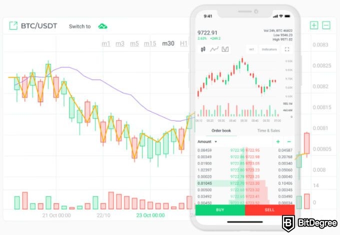 Changelly review: Changelly pro version.