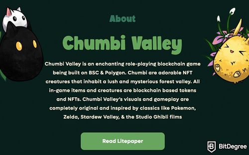 Chumbi Valley - The Next Axie Infinity?