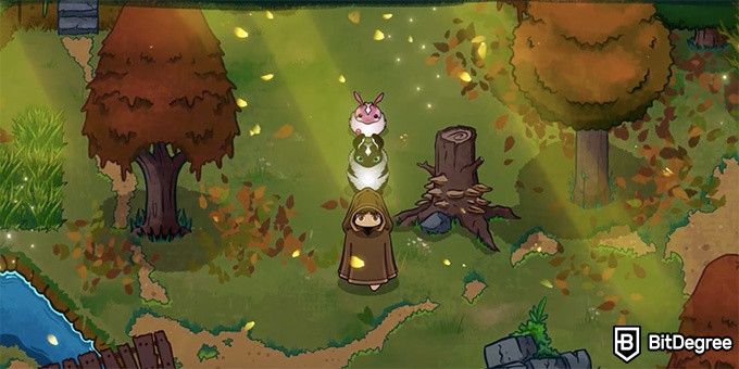 Chumbie Valley next Axie Infinity: your character in a forest.