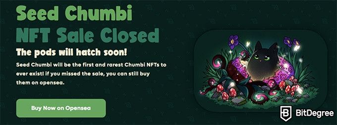 Chumbie Valley next Axie Infinity: the Seed Chumbi NFT Sale has closed.