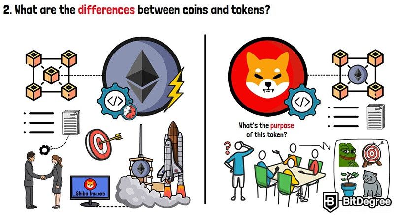 Coin vs token: Shiba Inu token.