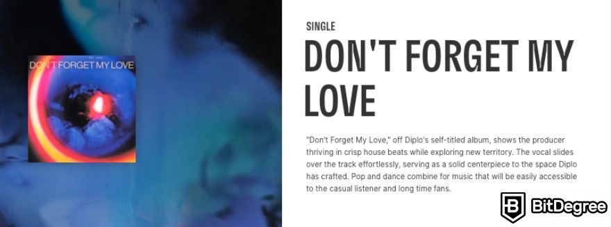 Diplo Announces Don't Forget My Love NFT Collection: the description of the collection.