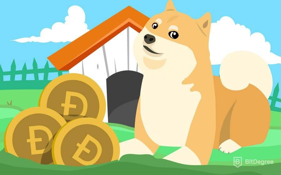 Mineração de Dogecoin: Como Minerar Dogecoin - Guia para Iniciantes