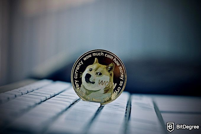 Best Dogecoin wallet: a Dogecoin on a keyboard.