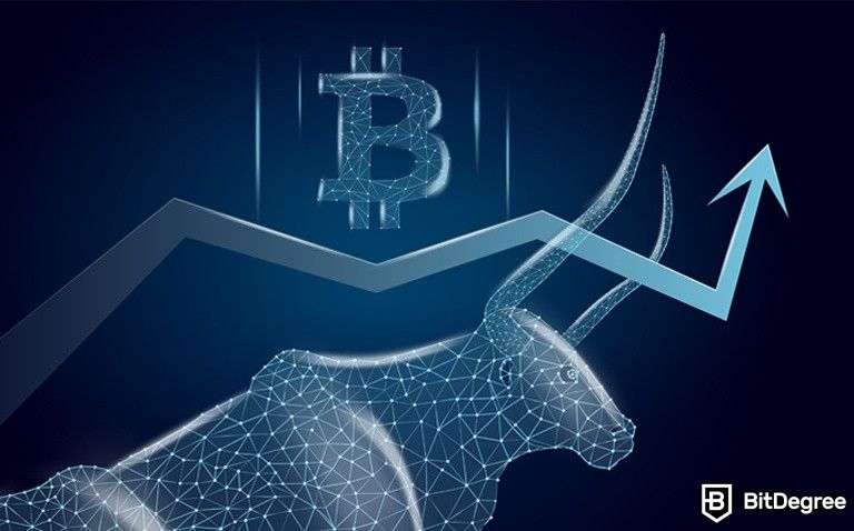 Draper Says that Women Will Play a Significant Role in the Next BTC Bull Market