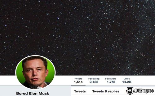 Elon Musk Not Happy with Twitter’s Decision to Implement NFT Support