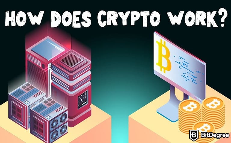 What Is Cryptocurrency And How Does It Work What Is Cryptocurrency And How Does It Work