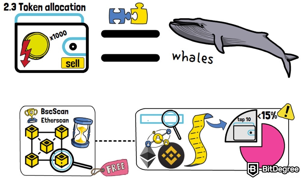 How to avoid rug pulls in crypto: Token allocation.