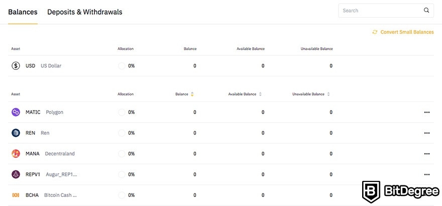 How to use Binance in the US: wallet balances and other information.