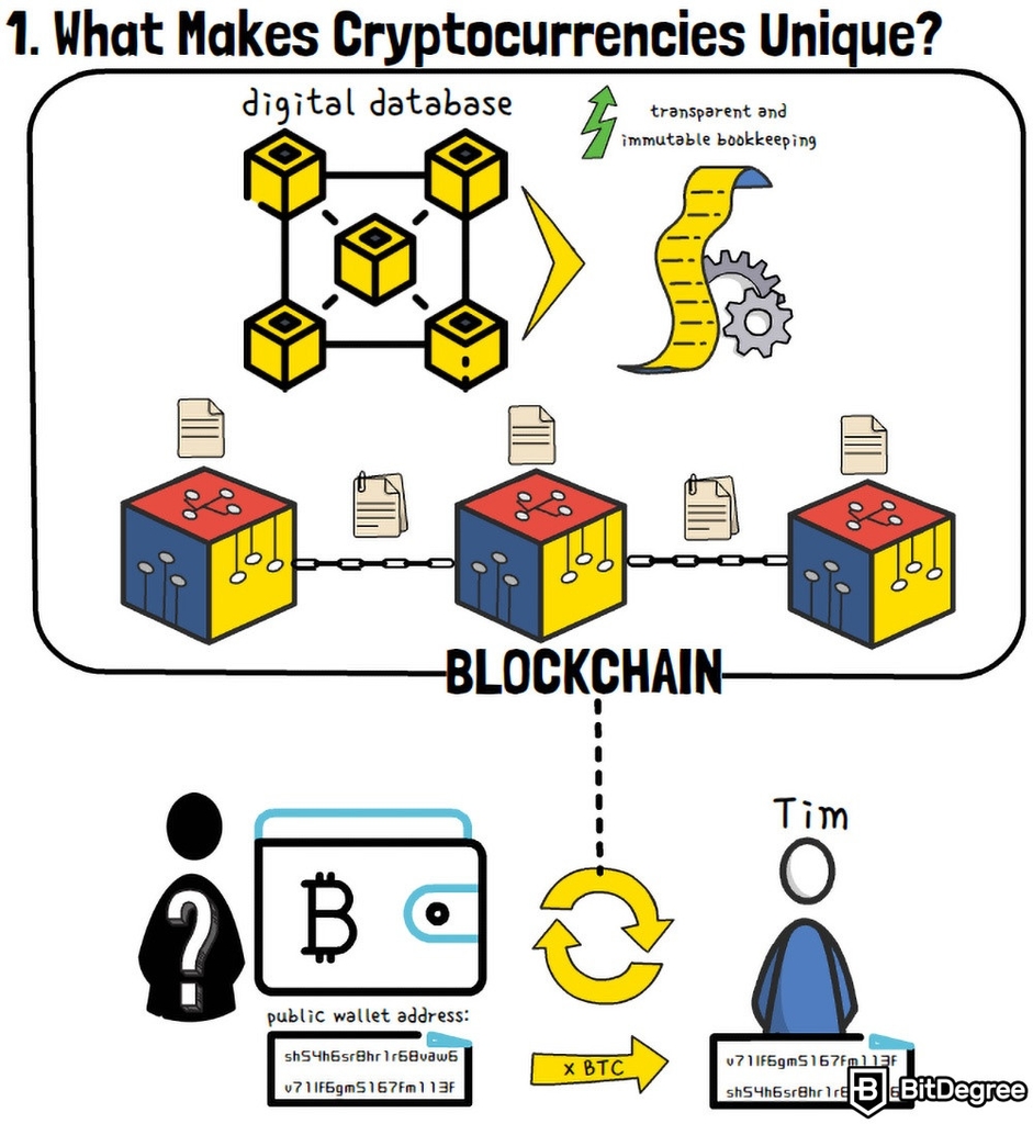 Como a Criptomoeda Funciona: Endereço de carteira público.