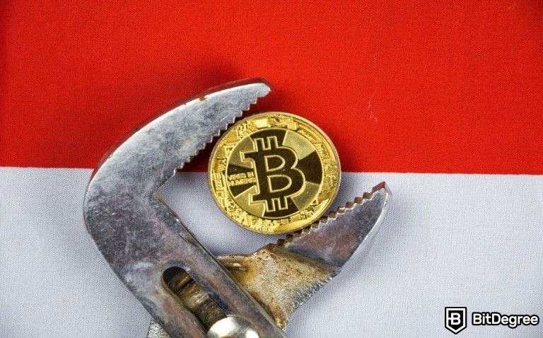 Islamic NGOs in Indonesia Requests Prohibition of Crypto, OJK Takes Action