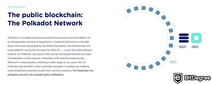 Integritee İncelemesi: Polkadot Blockchain